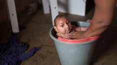 Zoznam krajín, v ktorých si treba dávať pozor na vírus poškodzujúci ľudský plod