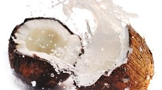 Taliani sa spoliehajú aj na kokos