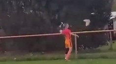 VIDEO: Frustrovaný hráč šokoval svojim skratom: Jediným kopancom zabil sliepku