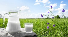 Na Slovensku je už mlieko lacnejšie ako voda