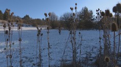 Predaj pozemku v Čeríne sa skončil hanbou a na prokuratúre