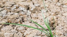 Nová štúdia: Jedna časť Slovenska sa prehrieva rýchlejšie ako zvyšok strednej Európy