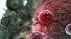 Dôchodca porazil rakovinu vďaka zelenine, ktorú má doma každý z nás