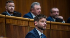 Opozícia mala vždy zastúpenie vo vedení parlamentu. Šimečkovo odvolávanie je podľa politológa zastrašovanie