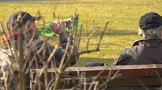 Väčšina trestných činov sa spácha pod vplyvom alkoholu. Obnovia sa preto záchytné stanice?