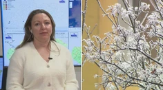 Dočkáme sa snehových Vianoc? Slová meteorologičky znejú nádejne pre jeden kút Slovenska