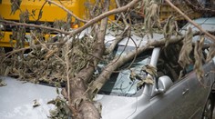 V okrese Písek spadol strom na auto, zomreli dvaja ľudia