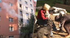 Zásah hasičov pri požiari v prešovskom paneláku. Dôchodkyňa (73) aj jej tri psy vyviazli bez ujmy