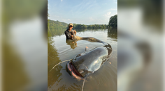FOTO+VIDEO: Ako to robí? Z vody vytiahol monštruózneho sumca s neuveriteľnou dĺžkou. Vágner prekonal vlastný rekord