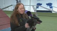 Vážna nehoda, operácie a rehabilitácie. Napriek osudu Bendži vyniká v zábavnom športe