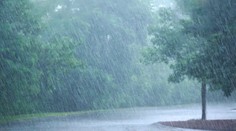 Meteorológovia vydali výstrahy pred silným dažďom a vetrom