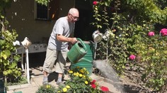 Ukážková záhrada v Nových Zámkoch v každom ročnom období. Vypestuje dostatok zeleniny pre celú rodinu