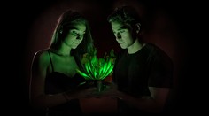 Skvelý nápad: Vyvinuli rastlinu, ktorá v noci svieti ako lampa