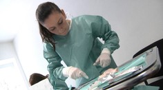 Medik roka 2015: Študenti rezali a zašívali kurence