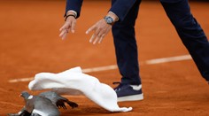 VIDEO: Český tenista s dávkou humoru kričal na svojho trénera. V zápase sa objavil aj neželaný hosť