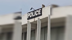 VIDEO: Chaos na policajnej stanici. Napadli ju stovky opíc