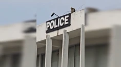 VIDEO: Chaos na policajnej stanici. Napadli ju stovky opíc
