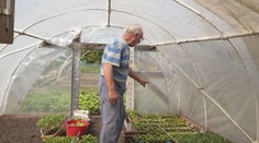 Na malom kúsku zeme dopestuje takmer všetko. Pán Emil sa o svoju záhradku stará už 61 rokov