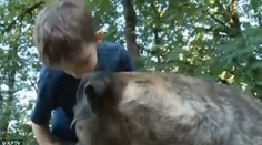 Pitbul zachránil život 8-ročnému chlapcovi. Až neuveriteľným spôsobom