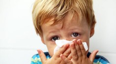 Alergická nádcha trápi najviac ľudí v Košickom a najmenej v Trenčianskom kraji