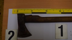 Zvlášť krutá bolesť a utrpenie. Muž mal sekerou napadnúť psa, veterinár ho musel utratiť