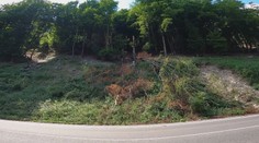 Vodič sa sťažoval na hrozbu nad cestou. Odpoveď Správy ciest ho zdvihla zo stoličky