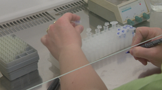 Covid stále viac dostávajú ľudia, ktorí ho nedávno prekonali. Hlavným dôvodom je zmutovaný omikron