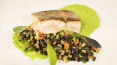 Grilovaný syr satyr s ľadovým šalátom