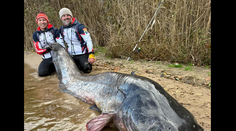 Kapitálny úlovok poľských rybárov. Vytiahli tvora rekordných rozmerov