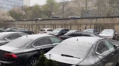 Vietor môže dosiahnuť silu orkánu. Mnohých Slovákov prekvapil aj sneh