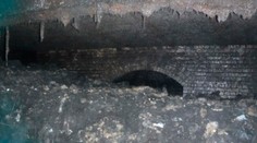 Kanalizáciu v britskom meste upchal 64-metrový šúľanec tuku a utierok