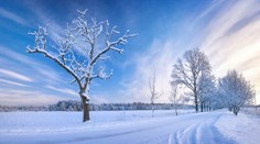 Mrazy ani zďaleka nekončia: SHMÚ vydalo výstrahy 2. stupňa (prehľad okresov)