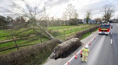 Británia aj Holandsko sa pripravujú na vpád víchrice Eunice. Rušia lety a vlakové spoje, pripravená je armáda