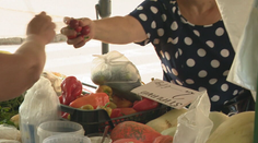 Má tri deti a v Banskobystrickom kraji zarába minimálku. Zbierajú orechy a huby, aby čosi ušetrili