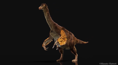 VIDEO: Archeológovia objavili pozostatky unikátneho druhu dinosaurov. Vyniká jedinečnou charakteristikou