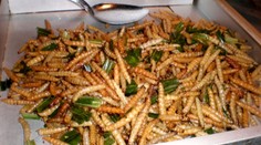 Predstavte si, že by ste na Štedrý deň nejedli ryby, ale húsenice