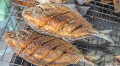 Maďara v Thajsku pravdepodobne zabila ryba, ktorú dostanete aj na Slovensku