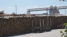 IKEA v Malackách dostala mastnú pokutu. Nábytkársky gigant má problém s ekológiou