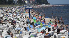 Vo švajčiarskom Rýne hynú v teplej vode tisíce rýb