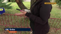 Mesiac od útoku psov