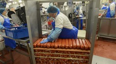 Slovenská mäsiarska dvojka má problémy