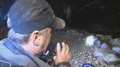 Vykradli vzácnu opálovú baňu. Zlodeji museli vedieť, po čom idú