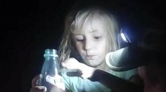 Dievčatko (5) prežilo samé v lese štyri dni. Malo v pätách medveďa hnedého