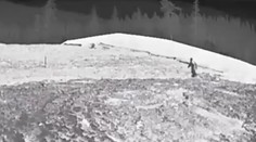 VIDEO: Internet rozdeľujú tieto zábery, podarilo sa zachytiť bájneho Bigfoota?