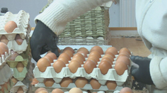 Lidl spravil zmenu v regáloch, ktorá prekvapila zákazníkov. Reťazce sa pri obľúbenej potravine nezhodujú