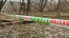 Muž z Rožňavy sa pokúsil znásilniť 20-ročnú Bratislavčanku na konečnej autobusu č. 29