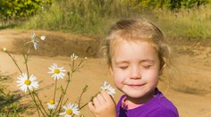 Babie leto úraduje: Počasie bude pekné, no teplotné rozdiely môžu zaskočiť