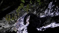 Na Kryme údajne v noci zostrelili šesť dronov