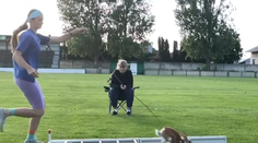 Študentka Júlia má netradičnú záľubu. Jej huňatí miláčikovia sú šampiónmi v králičom hope