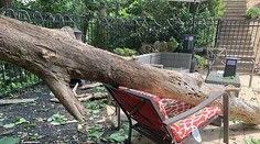 VIDEO: Žena unikla smrti len o vlások. Počas oddychu na ležadle sa na ňu zrútil strom